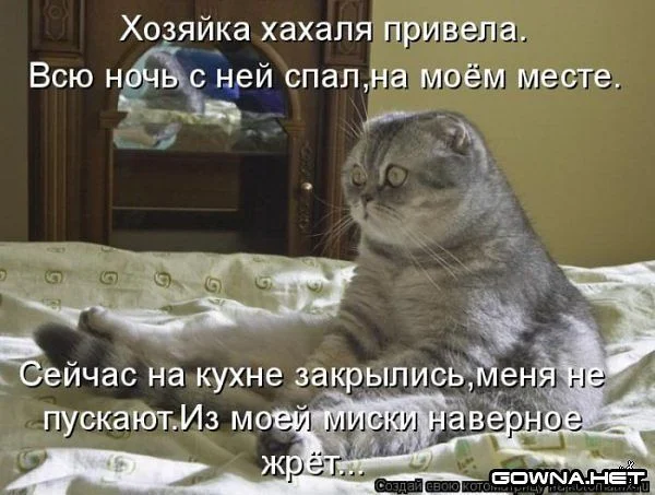 getImage63дб.webp