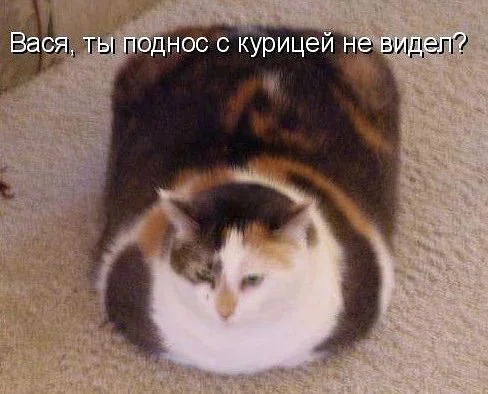 getImageCA2UQQ47.webp