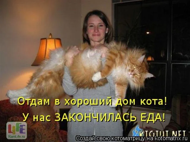 getImageCA7I8KNV.webp