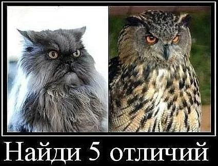 getImageCA93U4ZQ.webp