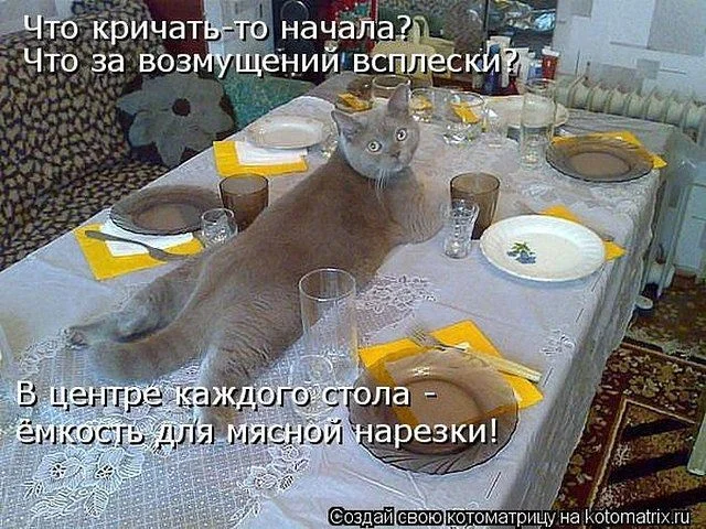 getImageCAEVIYFO.webp