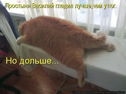 getImageCAFG24IC.webp