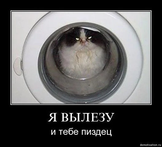 getImageCAGSSUJD.webp