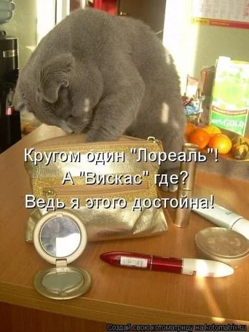 getImageCAGUFIZP.webp