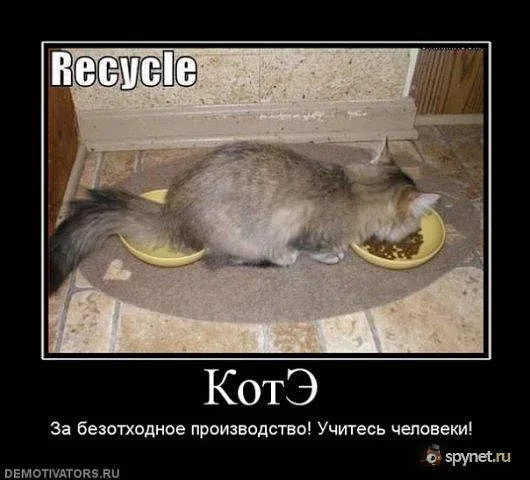 getImageCANB5T67.webp
