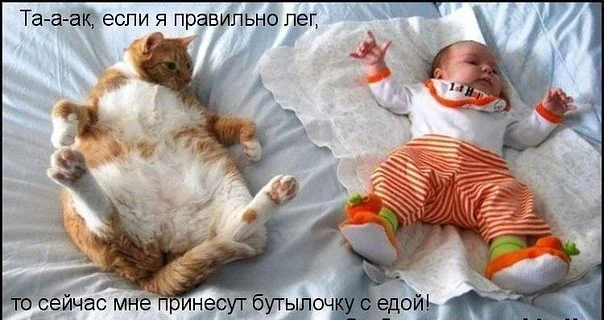 getImageCAO0QOXK.webp