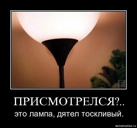 getImageCAPYWW74.webp