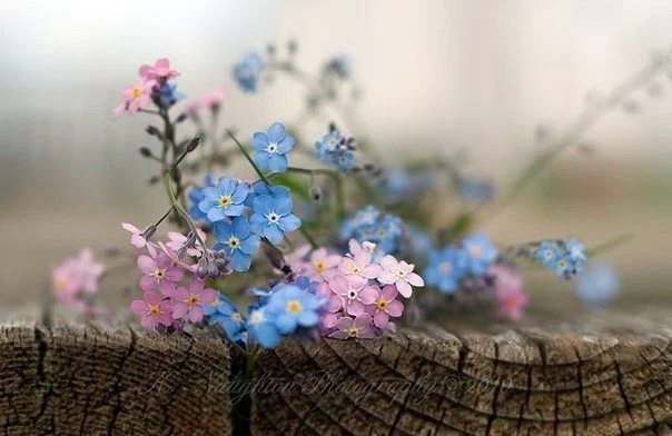 getImageJ7JVWTC6.webp