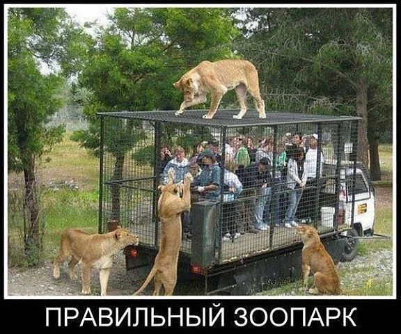 getImе5788дюшage.webp