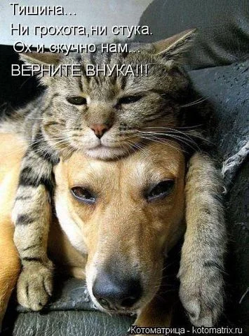getImуваage.webp