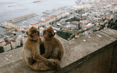 gibraltar12.gif