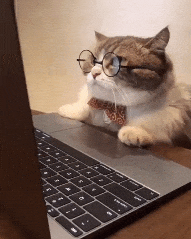GIF_1634191024537.gif