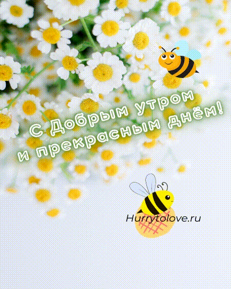 Гиф_картинка_с_добрым_утром_2.gif