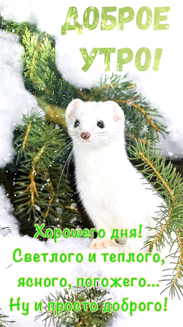 gifka-dobroe-utro.gif
