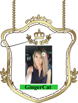 GingerCat.png