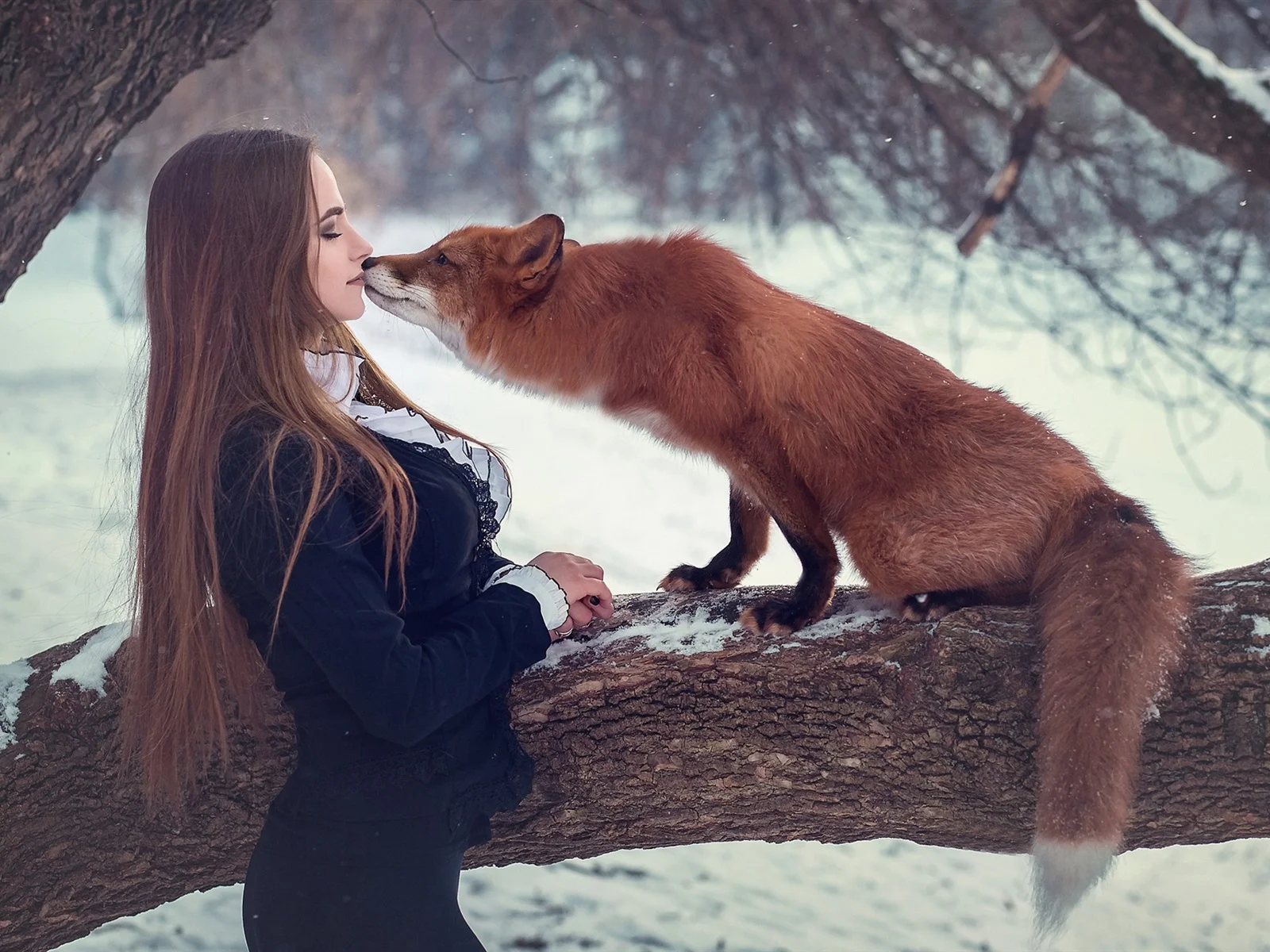 Girl-and-fox-kiss-snow-winter_1600x1200.webp