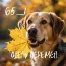 gja2jj2xuj8jgeay5cslp5qsy5autzadinz8n98h-webp.2211177