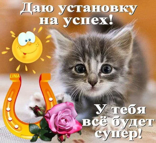 gl01.webp