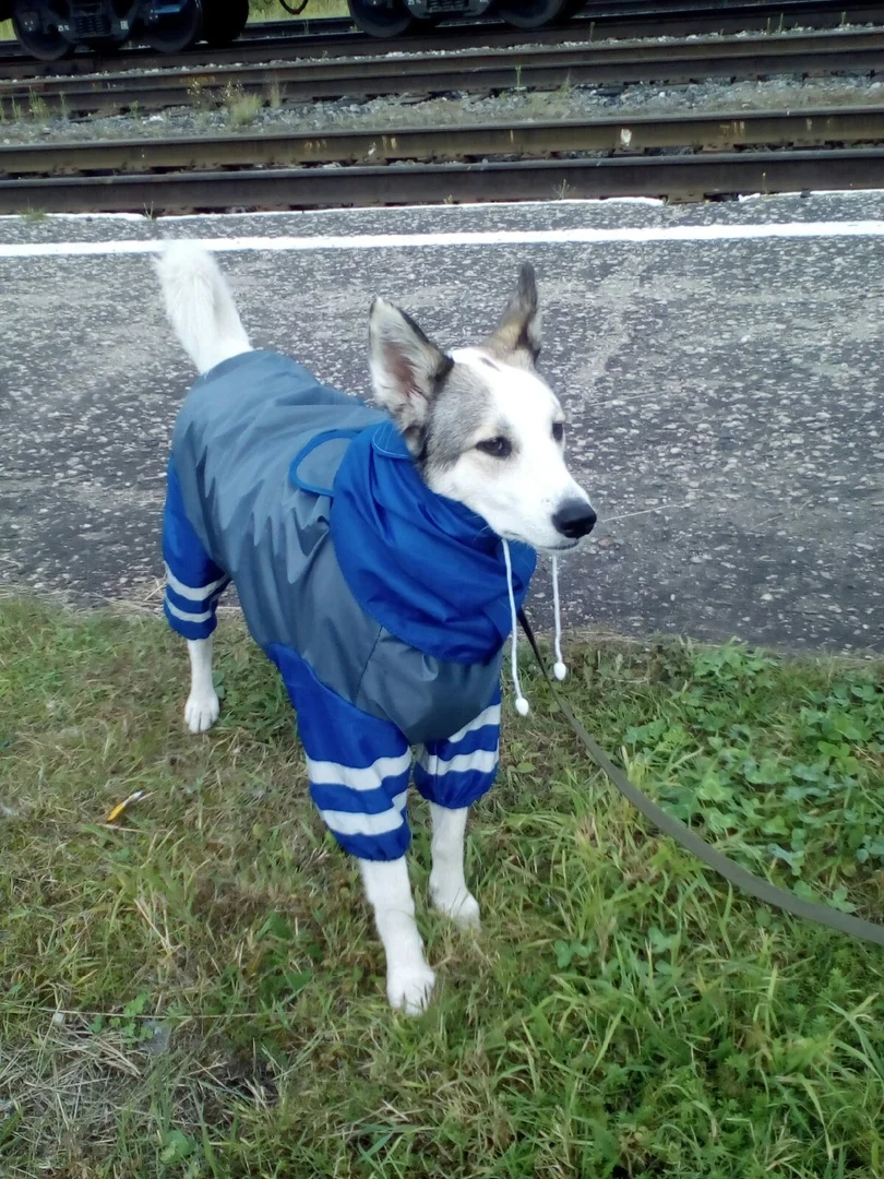 глаша в комбезе.webp