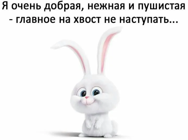 главное!.webp