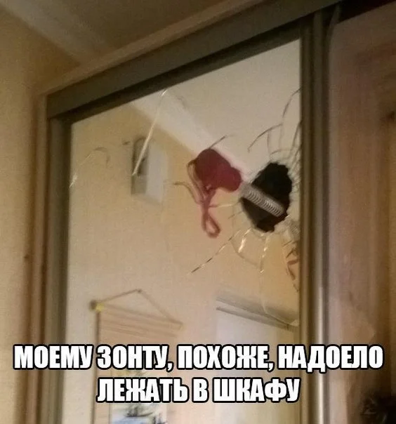 GlbtWskxTFU.webp