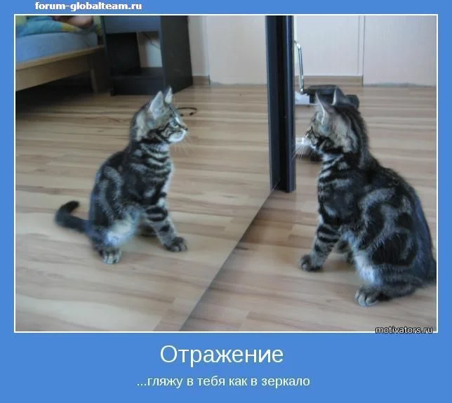гляжу.webp