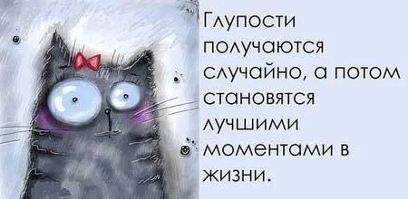 Глупости получаются случайно_282.webp