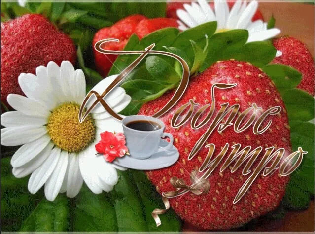gm08.webp