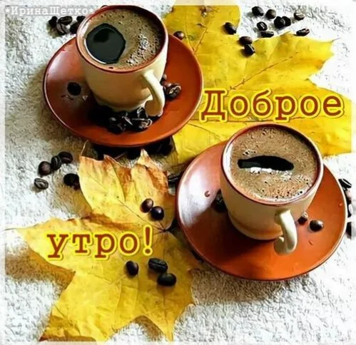 good-morning-girls-dadv.webp