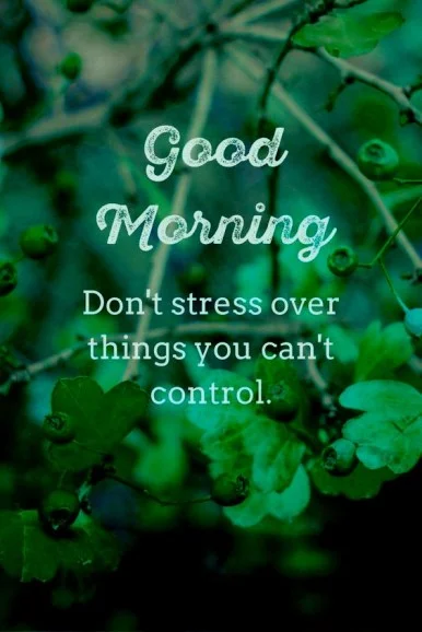 Good-Morning-Images-with-Quotes-61.webp