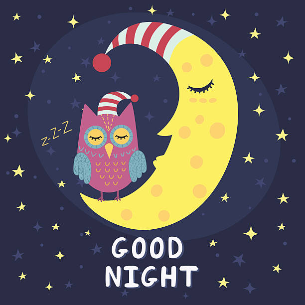 good-night-card-with-sleeping-moon-and-cute-owl-vector-id506251668.jpg