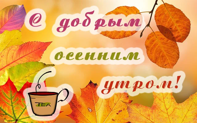good_morning_autumn_12.webp
