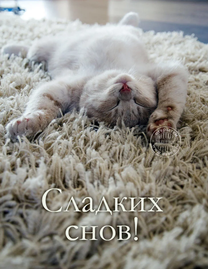 goodnight-2.webp