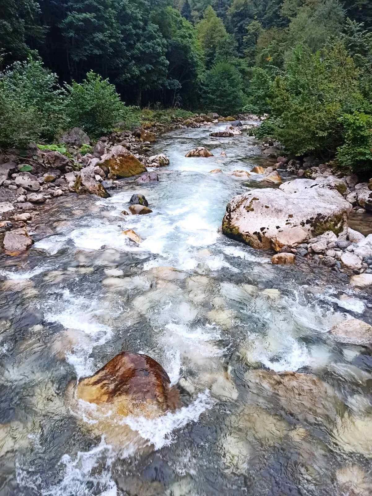 горная река.webp