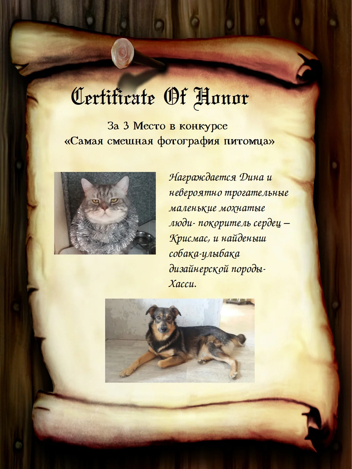 Gramota Дина.webp