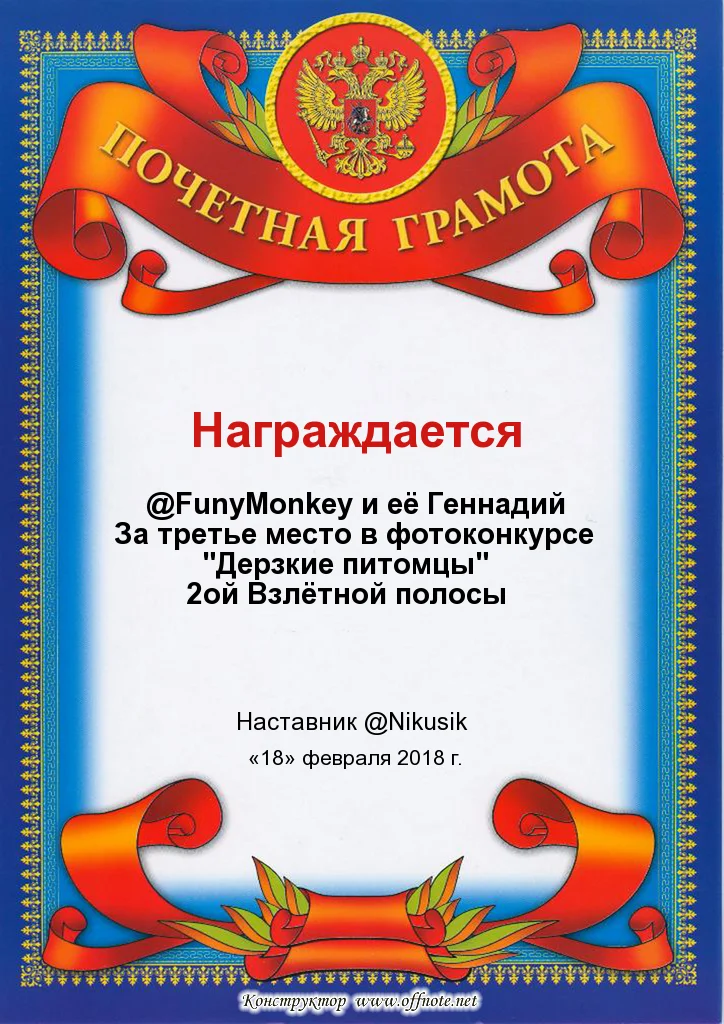 gramota третье место.webp