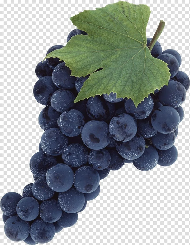 grape-clip-art-grape-png-image.webp