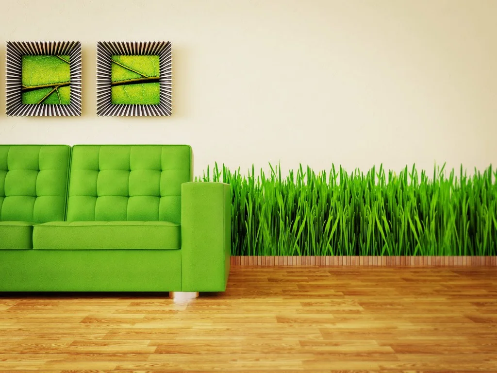 green-sofa1-1024x768.webp