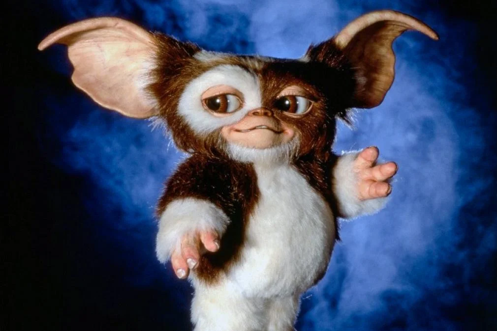 gremlins-gizmo.webp