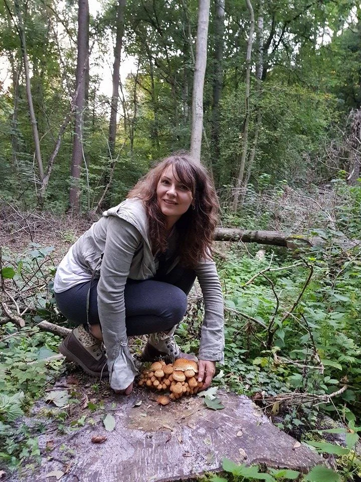 грибы1.webp