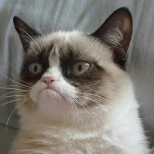 grumpy-cat-1.webp