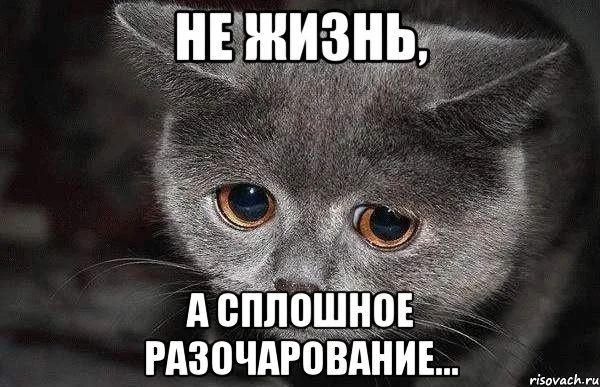 grustnyy-kot_43729456_orig_.webp