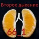 gtTnmLHxr5tzkRgqUE1n8ZfhKojG6hbaI151UKfM.webp