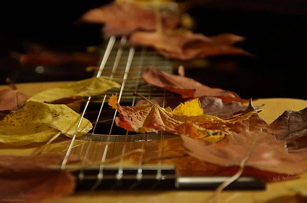 guitar-autumn_1.webp