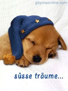 gute nacht.webp