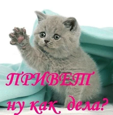 gy4htnRWTyM.webp