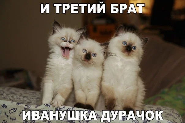 h-7682.webp