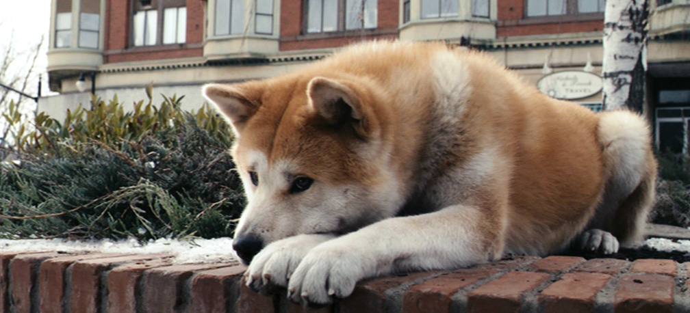 Hachiko.png