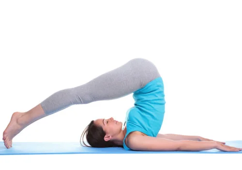 Halasana-01.webp