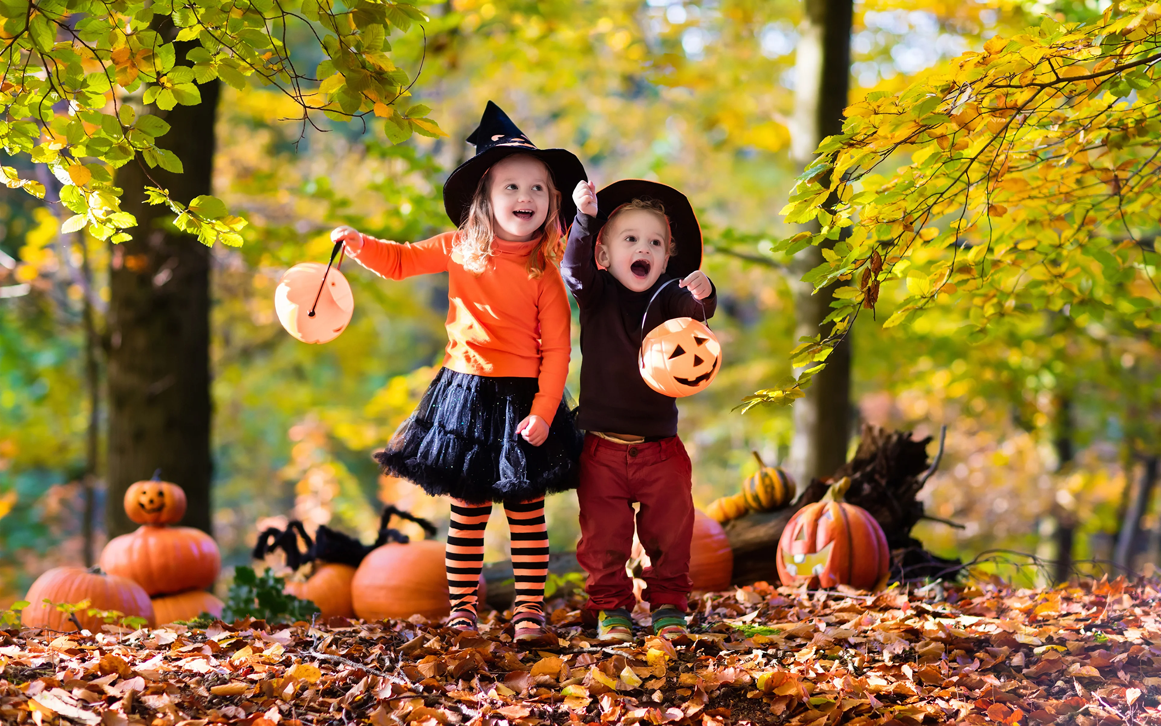 Halloween_Autumn_Pumpkin_505073_3840x2400.webp